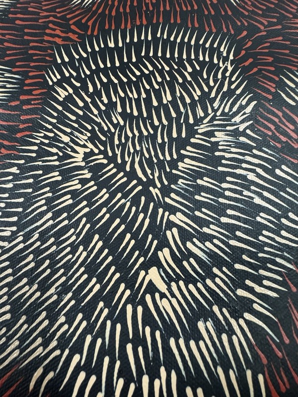 Patricia Kamara 💕Aboriginal Art 71cm X 40cm COA Supplied PK36B gallery