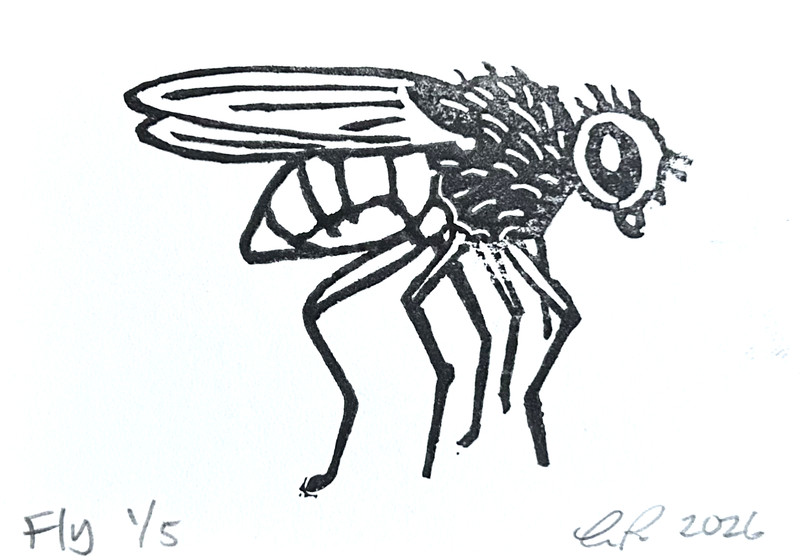 aceo original art by Emily Beck, Fly 1/5, linocut insect art, 3.5×25″