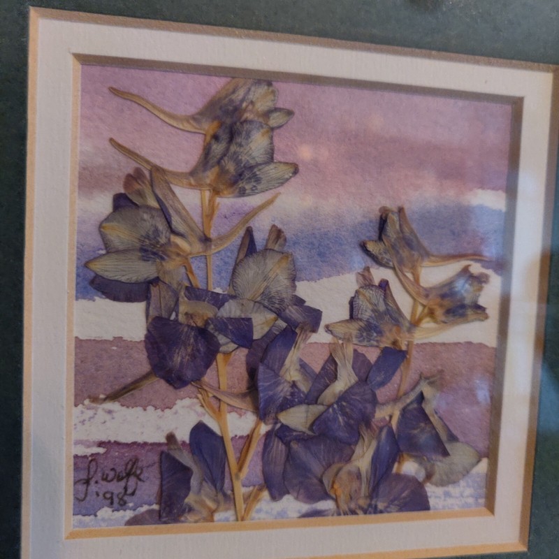 Signed Original Mini Paintings SET 3 Watercolor Wildflowers Realism Sally Wolfe