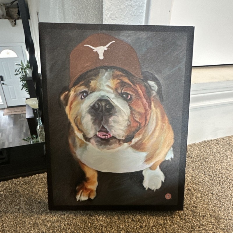 Bulldog Dog Portrait Canvas Painting with Longhorn Cap, Medium, Unframed