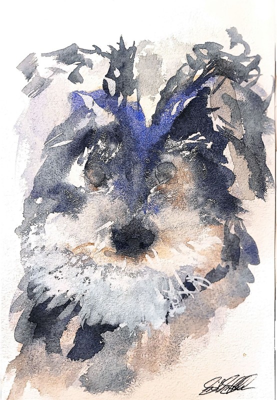 Dog Original Signed Abstract Impressionist Watercolor Wall Art 10×7
