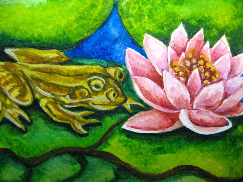 Watercolor Painting Pink Water Lily Pond Flower Lake Frog Nature ACEO Art