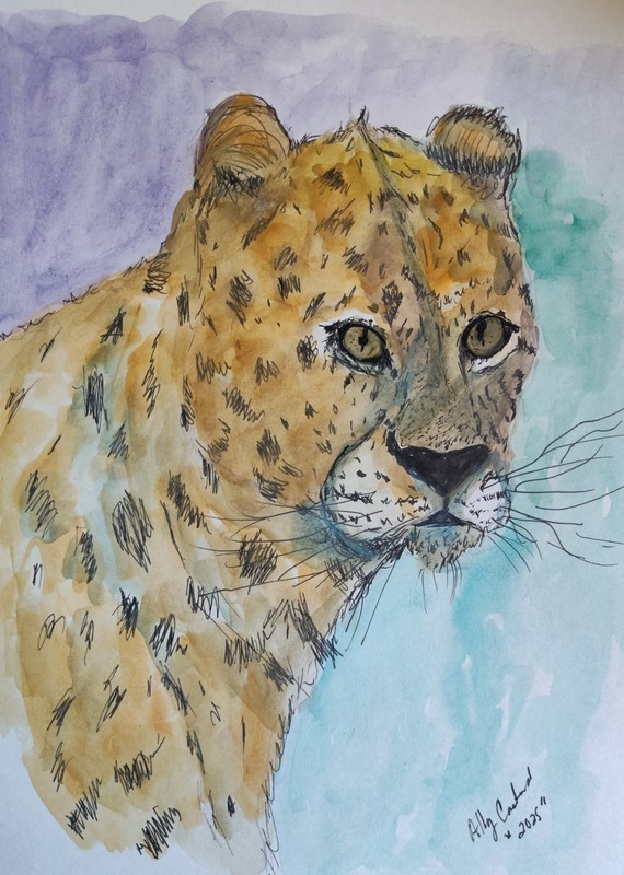 9 X 12 Inch Watercolor Leopard Realism Painting, Signed Small on Paper Unframed