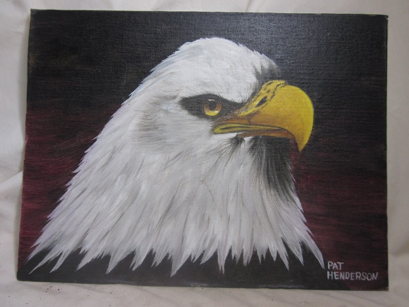 original vintage painting 12″ x 16″ signed Pat Henderson Bald Eagle head detail