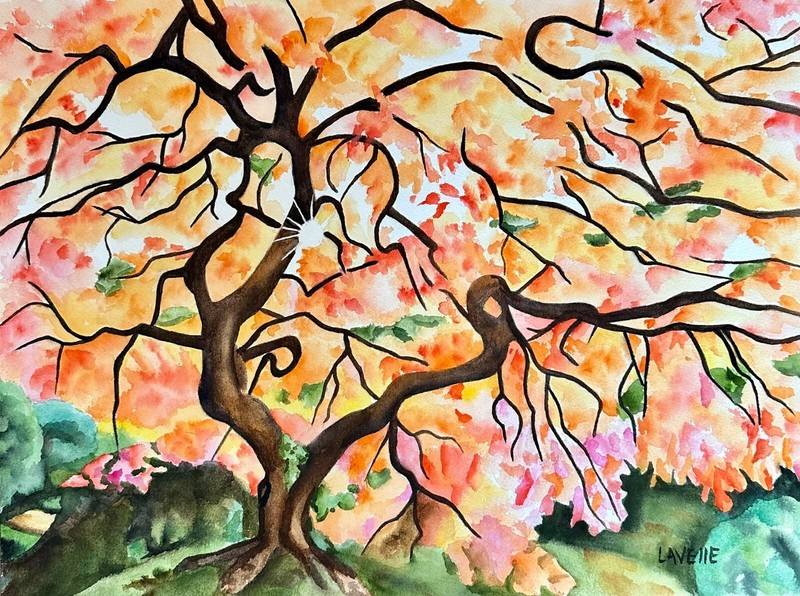 Original Japanese Maple Tree Watercolor Painting