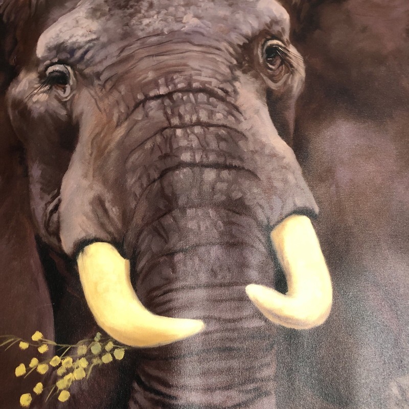 International Galleries Giclee Print Canvas Elephant Painting C. Cherry 29X39” gallery
