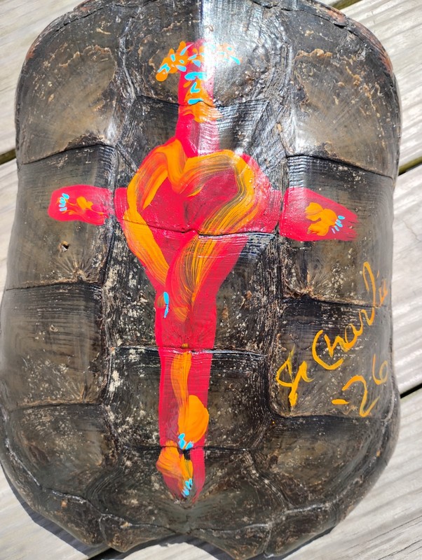 JESUS HEART ON THE CROSS TURTLE SHELL JR CHARLIE OUTSIDER FOLK POP ART TAXIDERMY