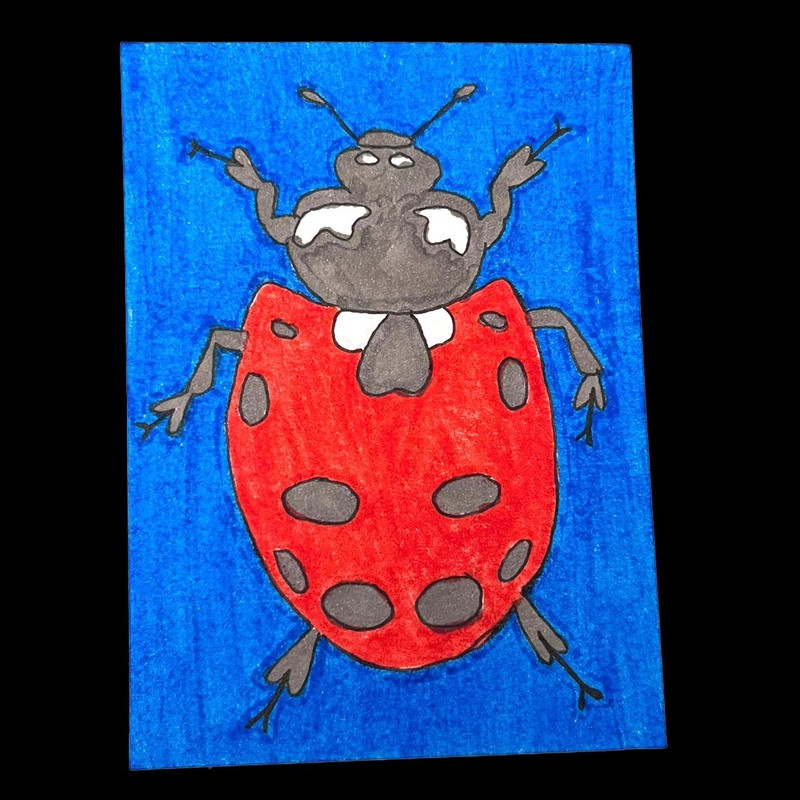 ACEO Original Ladybug Beetle Insect Marker Illustration 3.5 x 2.5 in
