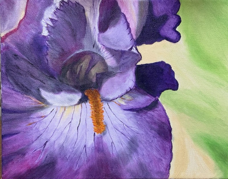 Iris canvas By Zuber Studio 8×10