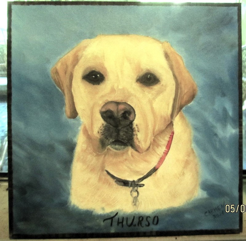 A PORTRAIT OF YOUR DOG, YOUR PHOTO, SATISFACTION GUARANTEED gallery