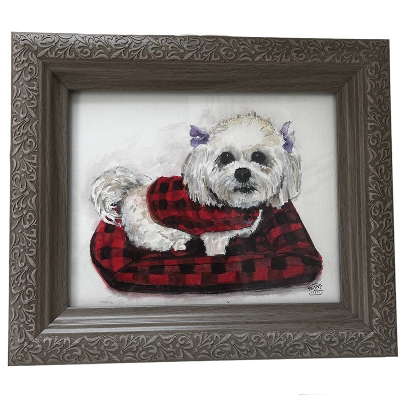 Water Color Painting Lhasa Apso Dog Small Signed Scottie Plaid Pillow Framed