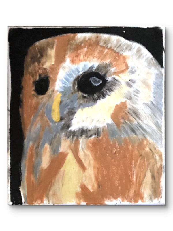 Abstract Expressionism Original Barn Owl Animal Face 11 by 14 Canvas