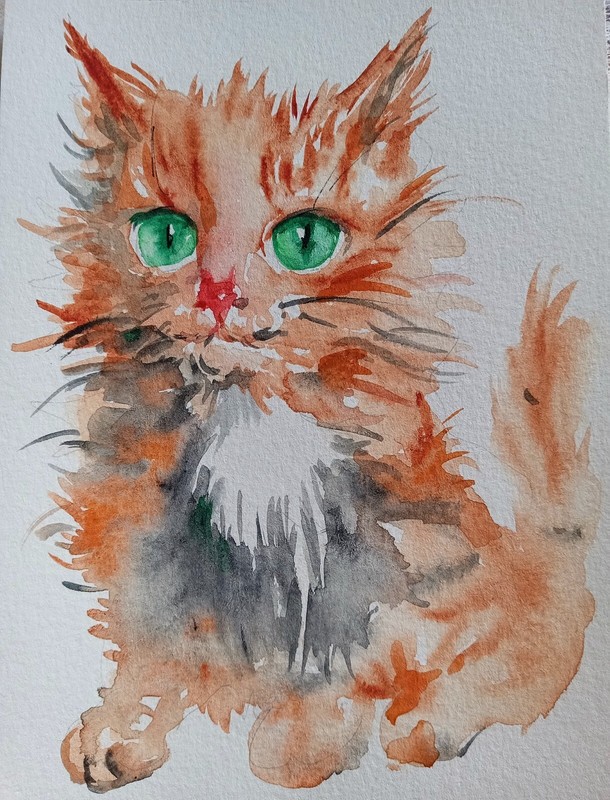 Original Ginger maine coon cat art painting,pet lover best gift,orange kitten gallery