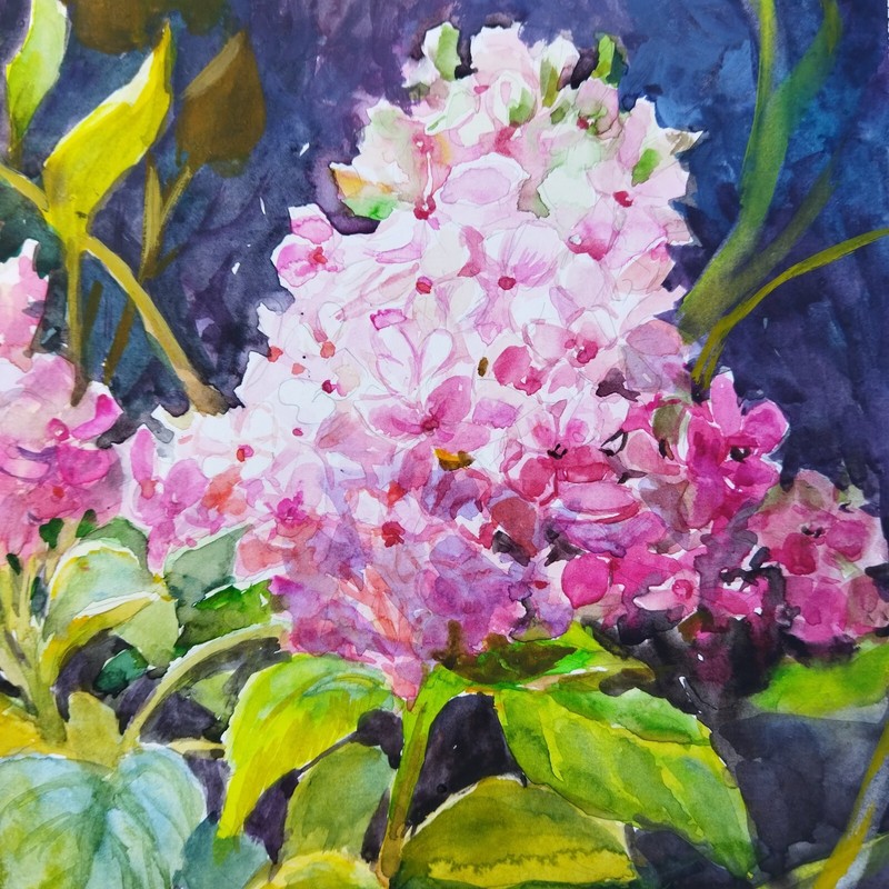 Hydrangeas Flowers Watercolor Painting Original Floral Art Spring Flowers gallery