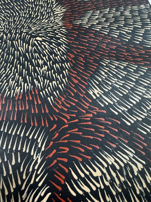 Patricia Kamara 💕Aboriginal Art 71cm X 40cm COA Supplied PK36B gallery