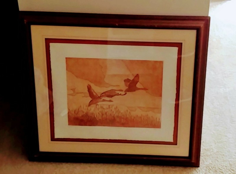 Canadian Geese in flight Art Picture Framed Print 30X26 43/275 Made Signed