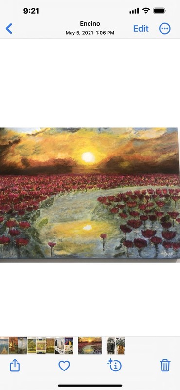Oil Panting Original Handmade Sunset the size is 30x 40 inches on canvas