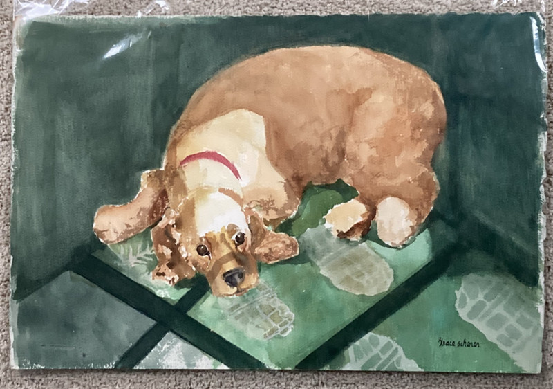 Original Watercolor Painting Dog Golden Cocker Spaniel Mans Best Friend Pet