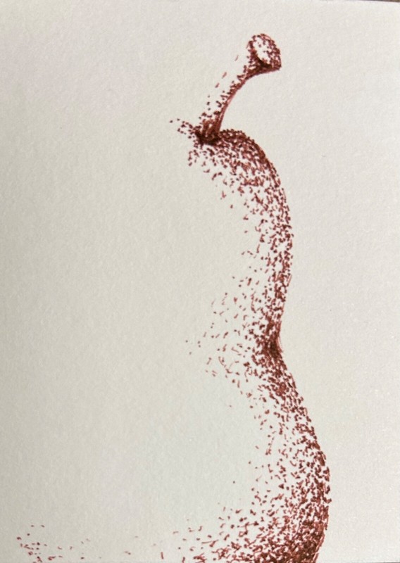 ACEO Original Ink Drawing Pear Fruits Foodie Kitchen Culinary Art Fruit