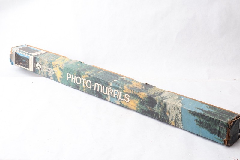 Vintage Wall Mural Alaskan River Environmental Graphics 1970s C-395 8’8″ x 13’8″