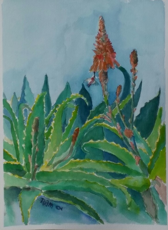 «Aloe Feeder» Original Watercolor Painting~ RAMfish Artist Hummingbird