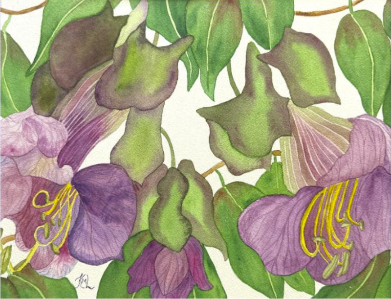 PAINTING WATERCOLOR FLOWER CUP AND SAUCER VINE PURPLE 11X14 & DOUBLE MAT 16X20