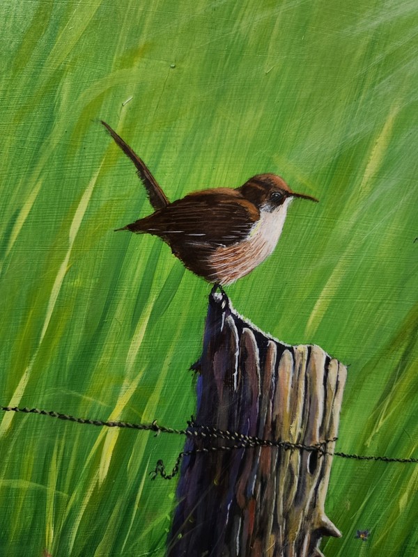 Signed Original Framed Acrylic Painting Cactus Wren On Rustic Fence Post Bird gallery