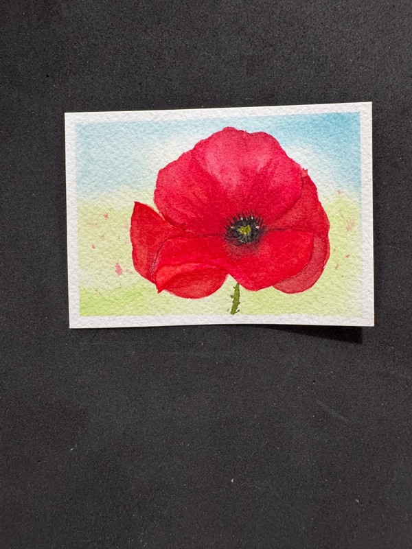 Original ACEO, Watercolor “Poppy”, One of a kind, signed by artist