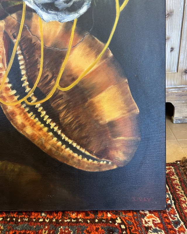 J. Drury Seashells Artwork gallery