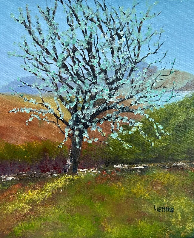 Original oil painting , Countryside, Autumn tree in rural Ireland, Canvas 10″x12