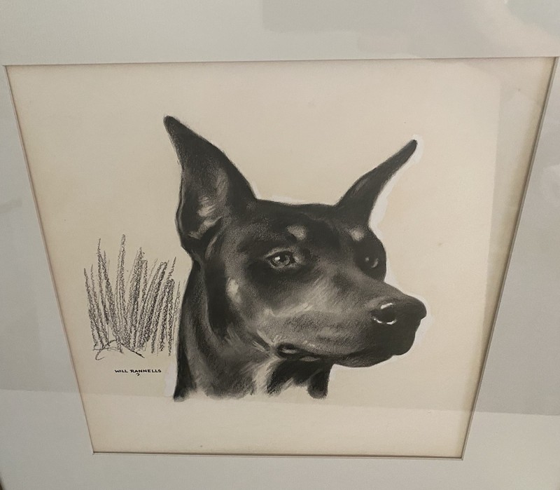 Original Dog Painting DOBERMAN PINSCHER Will Rannells (1892–1982) Illustration gallery