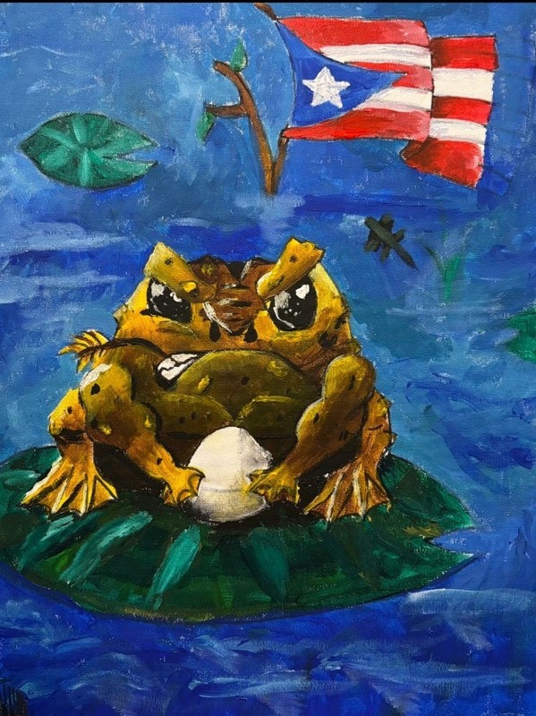 Coqui And Puerto Rican Flag On Canvas 11x 16in Acrylic Paint