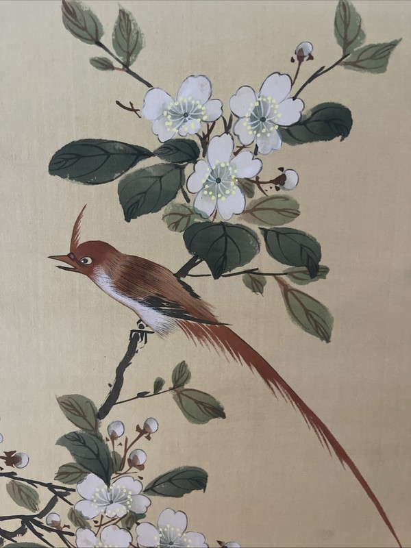 Japanese Painting Bird Flower Cherry Blossom Branch On Silk Watercolor 18x13” gallery