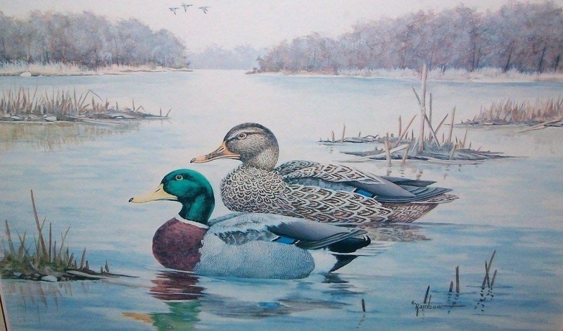 Erwin Rambow Framed Original Artwork of Wildlife Ducks in pond lake Signature gallery