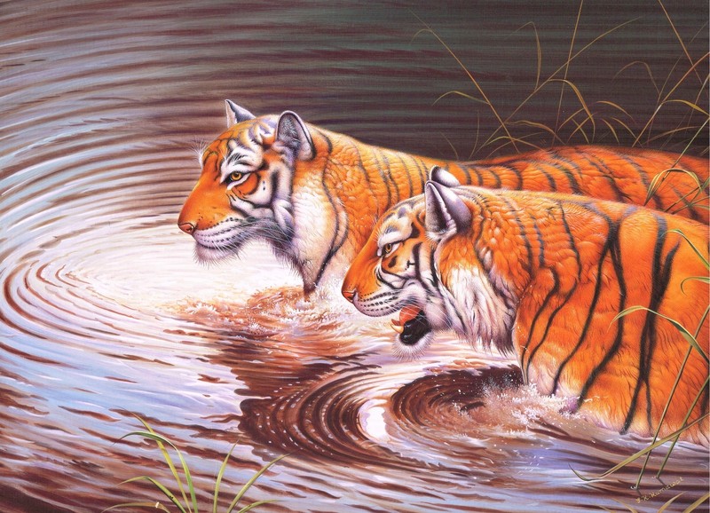 Animal Miniature Painting Of two Bengal Tigers Standing In Water Nature Art gallery