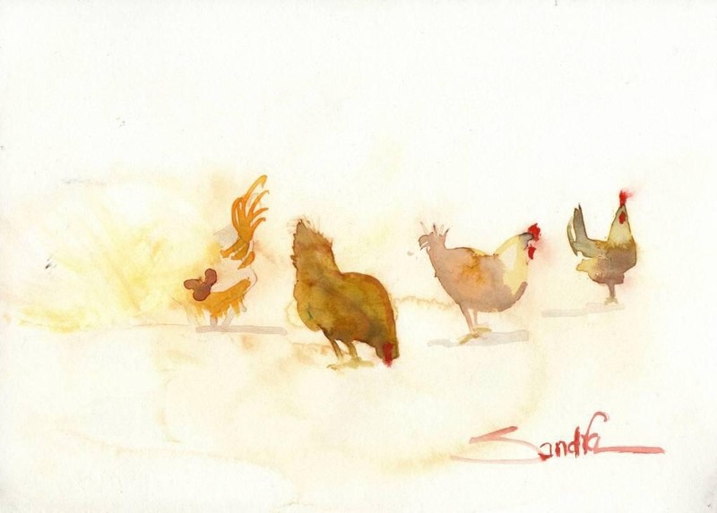 Chickens #7 : Sandra Watercolors™ California : ORIGINAL PAINTING gallery