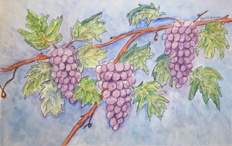 Original Landscape Art Watercolor Painting MERLOT GRAPE VINE CR Basciano 5.5×8.5
