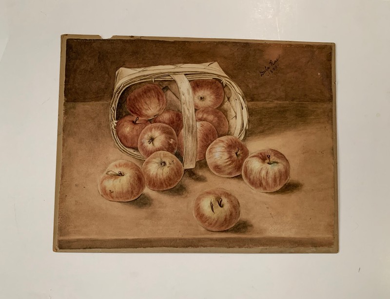Oil Painting Still Life Fruit Apple Basket Apples 1800’s Dula Rae 1893 Country