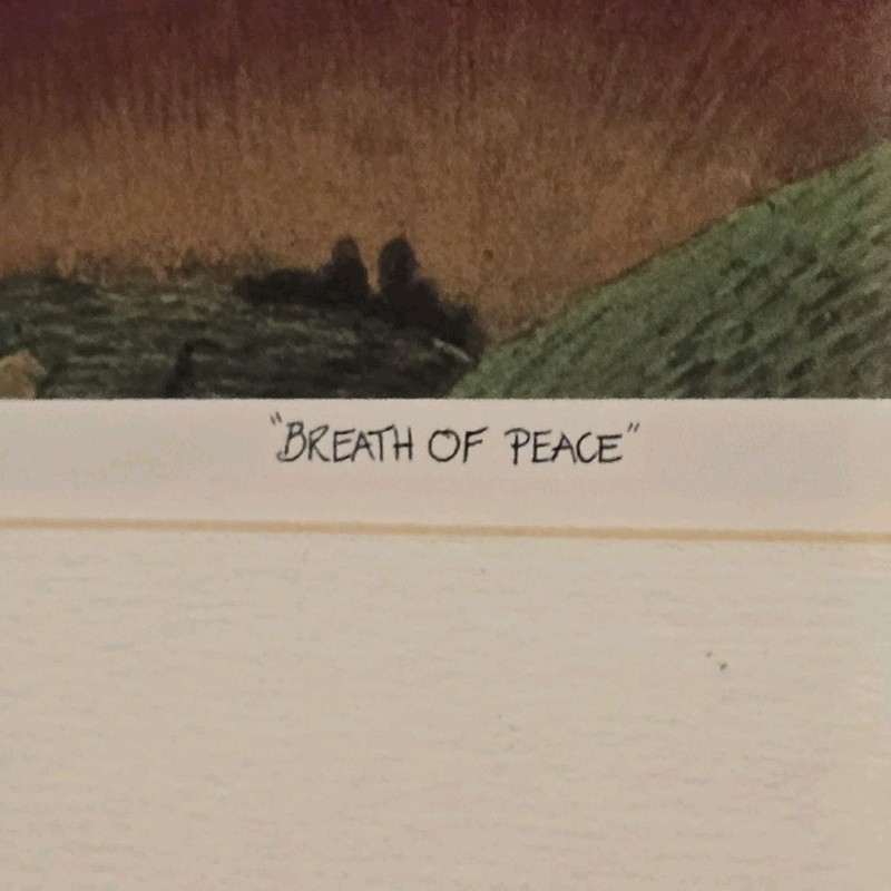 Beatty Fehling Limited Edition "Breath of Peace" Framed Signed Print #313/500 gallery