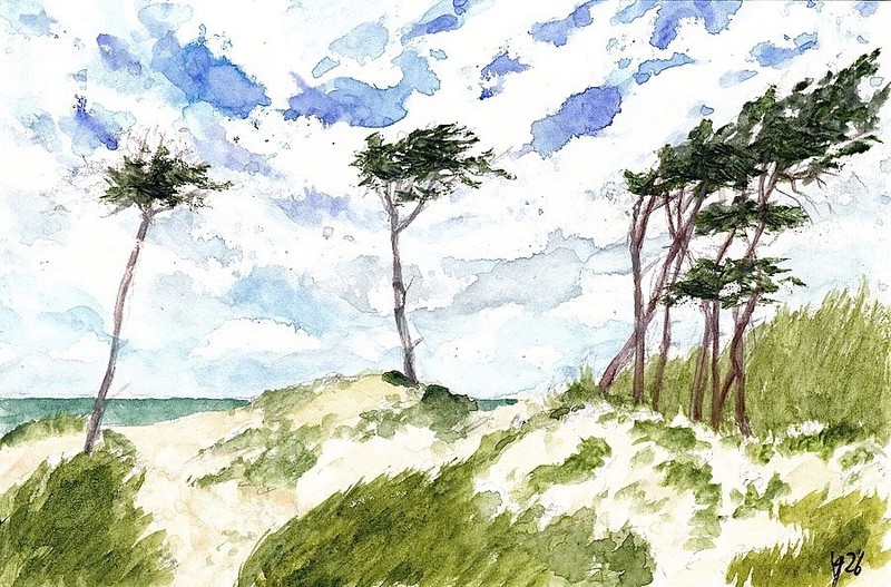 Darss – Wind Escape on the West Beach, Original Watercolour (10x15cm)