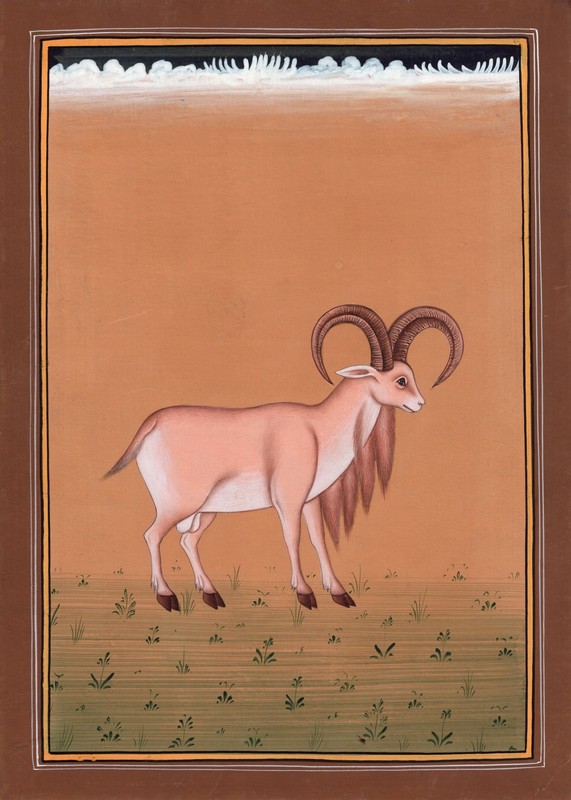 Indian Ram Animal Painting Handmade Watercolor Nature Wild Life Miniature Art
