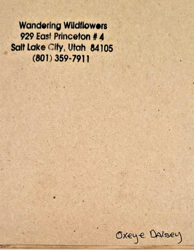 Sally M. Wolfe Signed Wandering Wildflowers Oxeye Daisy Floral Framed Artwork gallery