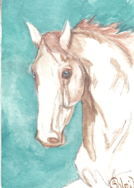 ACEO original Watercolor Art Card HORSE perlino double cream heavy Sporthorse