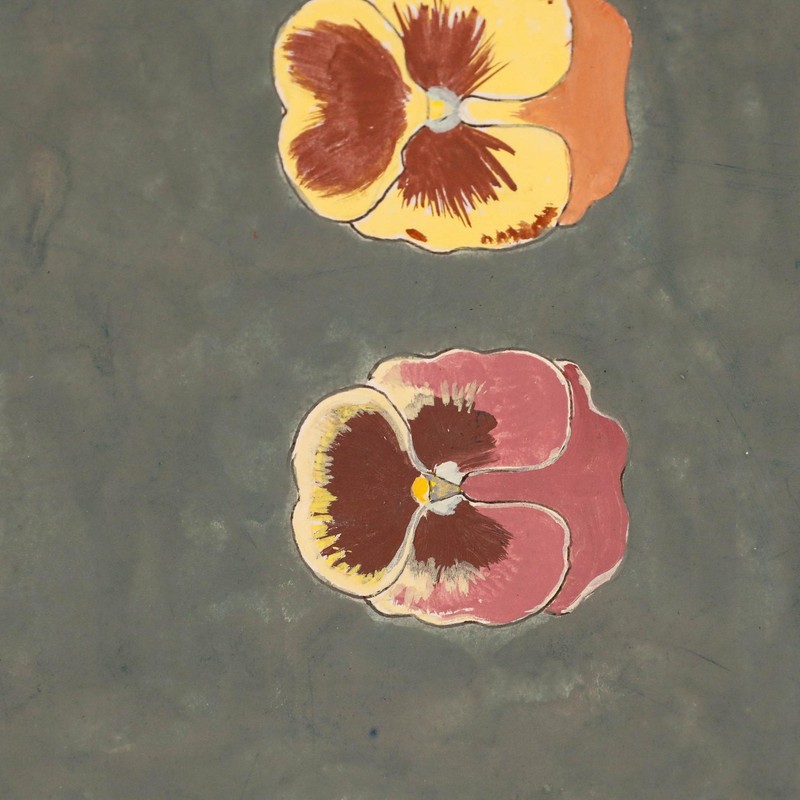 Leslie Charles Boyce - Mid 20th Century Gouache, Pansies gallery