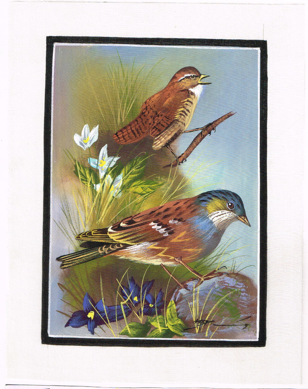 Handmade Miniature Painting of Beautiful Pair Bird On Silk Cloth 7×9 Inches