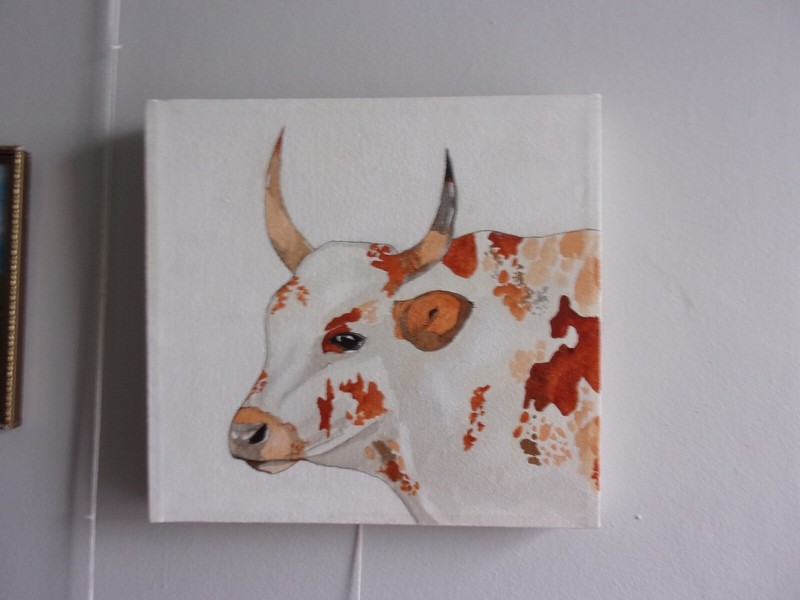 Lovely acrylic painting on canvas of Nguni Bull (South African cattle) painting