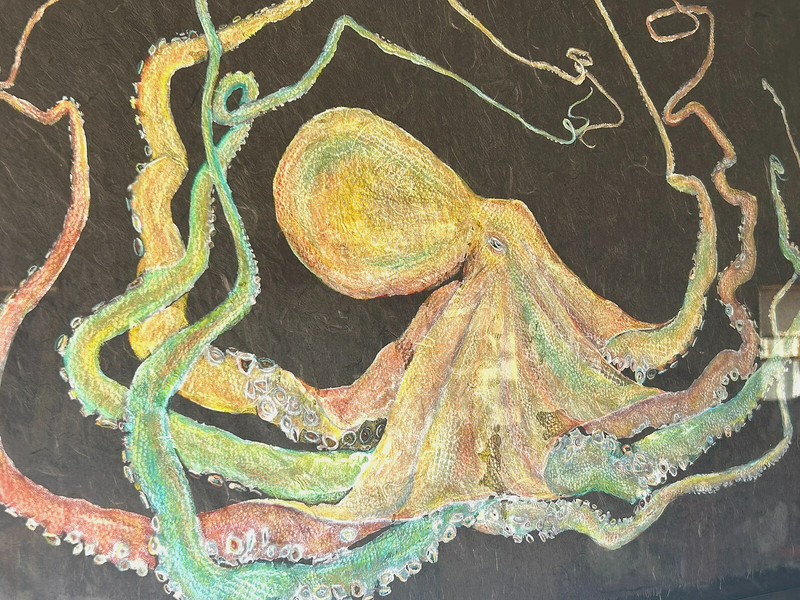 LARGE Original Hawaiian Fine Art by Carrie Lee Brady Octopus Gyotaku Mixed Media gallery