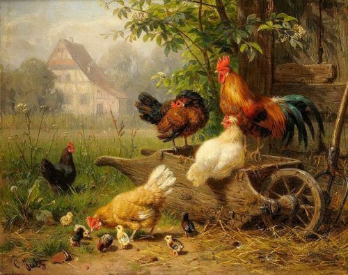 MQ162 Stretched Canvas Frame / Unframed Hand Hens Roosters Chickens Oil Painting