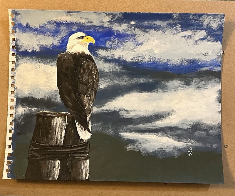 Bald Eagle Mountain Sky View Original Hand Painted Acrylic 11x13” Paper gallery