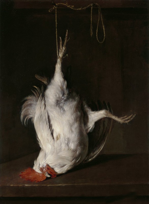 Oil painting Gabriël Metsu – still life Gallo muerto Dead rooster hand painted